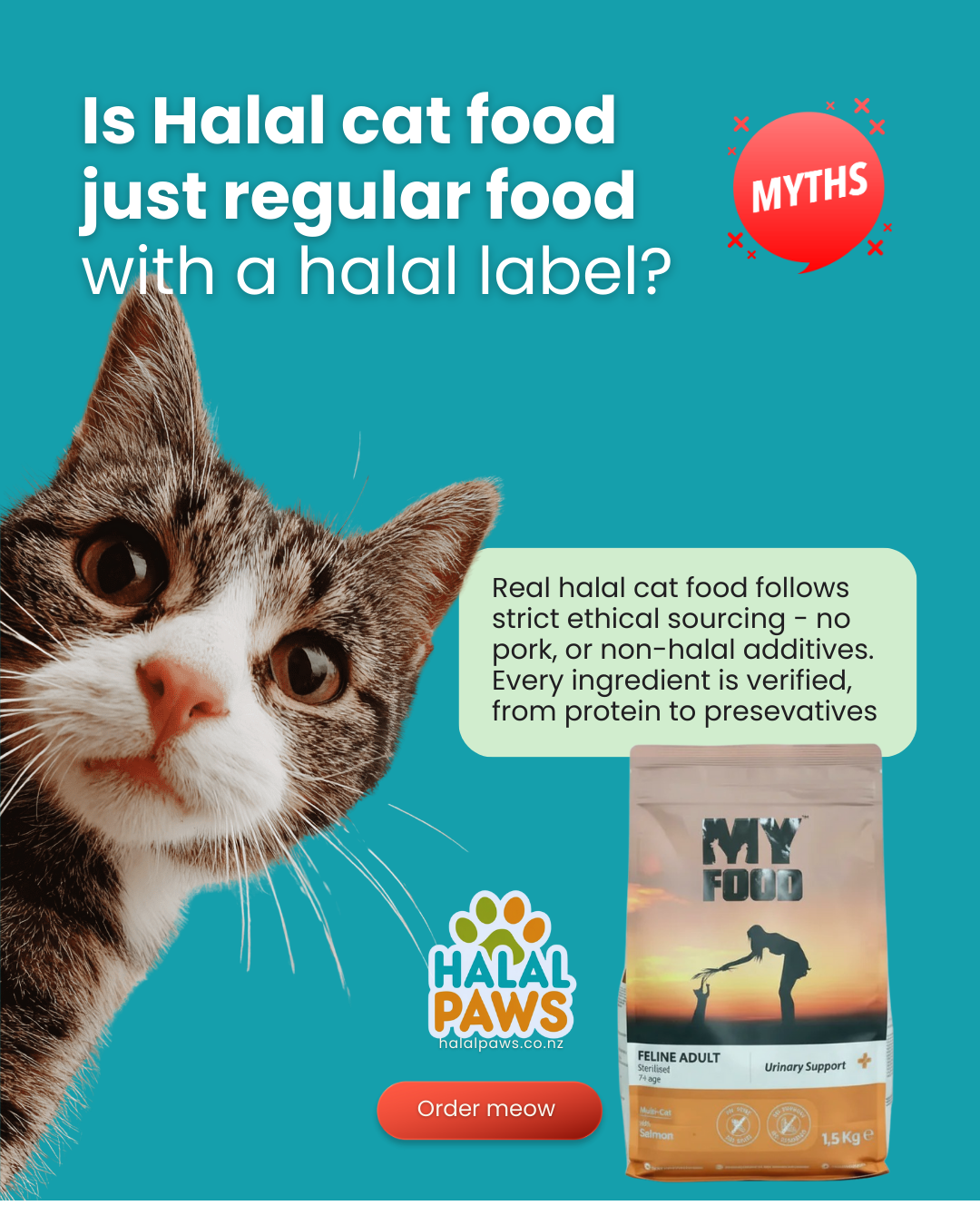 Why Halal Cat Food is a Choice for Both Faith and Fitness: A Guide for NZ Muslim Pet Parents