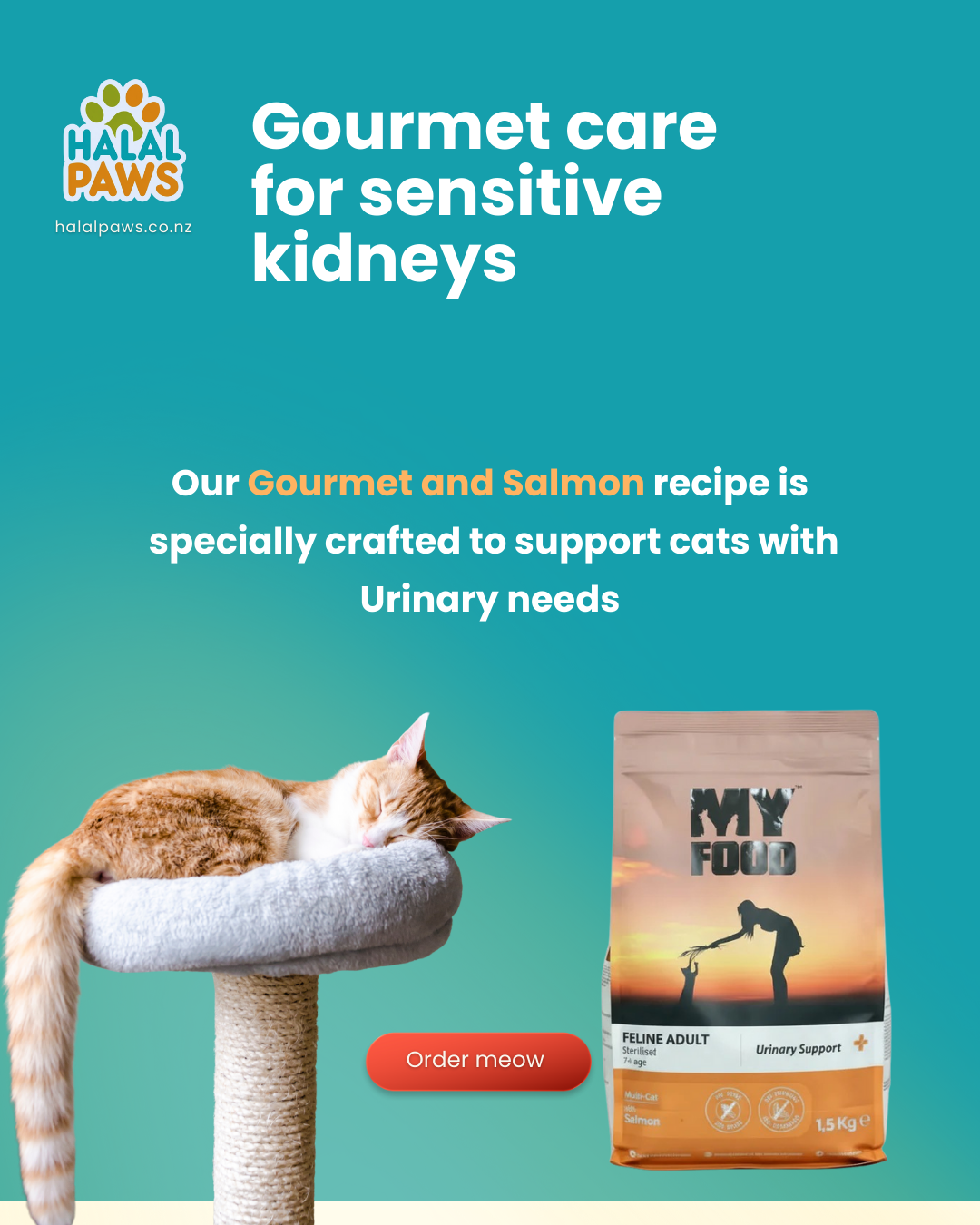 The Best Cat Food for Urinary Support: A Guide for NZ Pet Parents