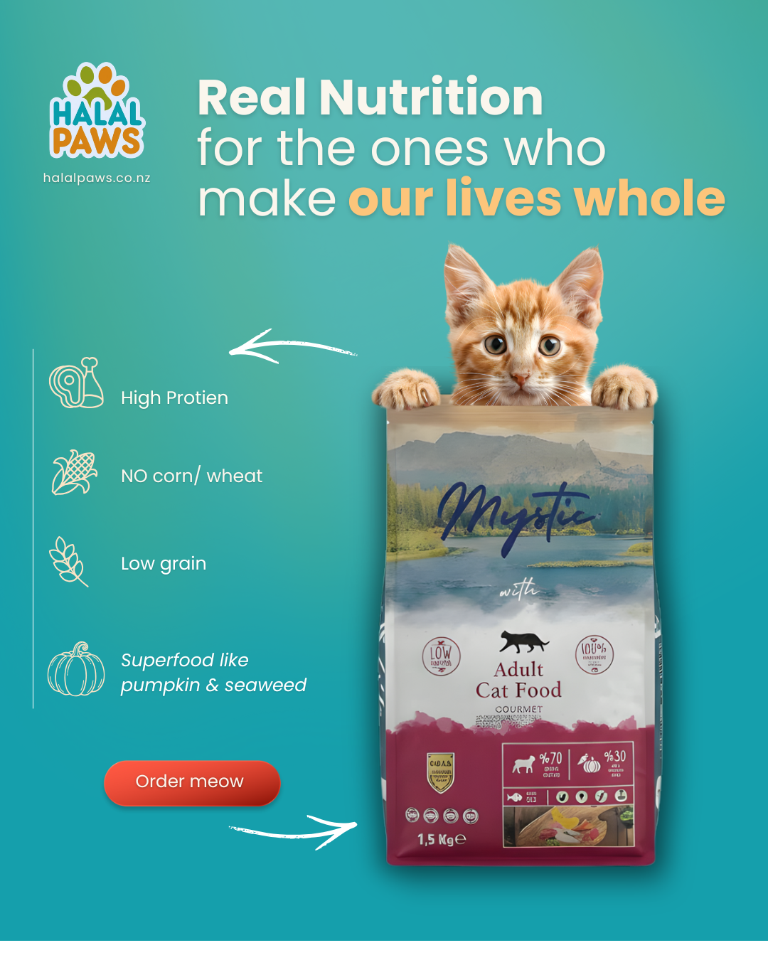 Nourish the Love: Real Nutrition for the Cats That Make Our Lives Whole with Mystic Adult Cat Food