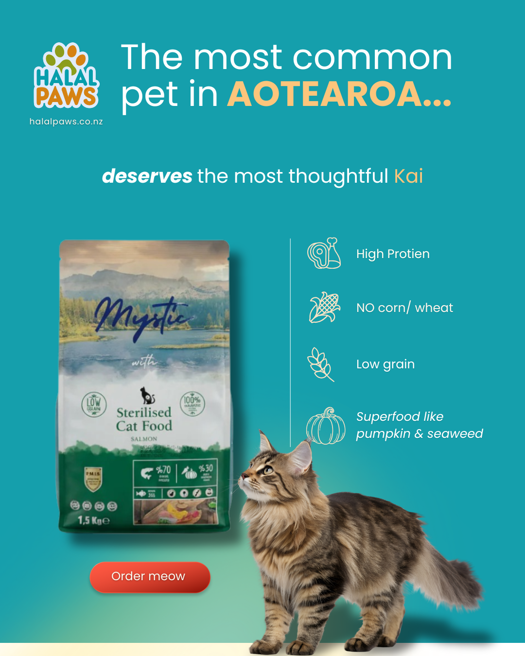 The Best Cat Food in NZ: Why Wholesome, Vet-Approved Nutrition Matters for Your "Chosen" Cat