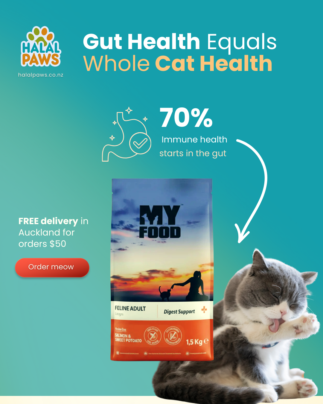 Why Gut Health is the Secret to Your Cat’s Whole-Body Wellness
